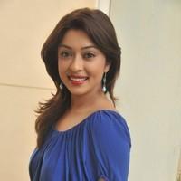 Payal Ghosh hot in Mini Blue dress - Photos | Picture 102693
